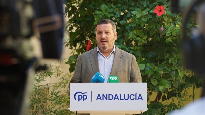 El vicesecretario de Organización del PP andaluz, Alejandro Romero, este lunes