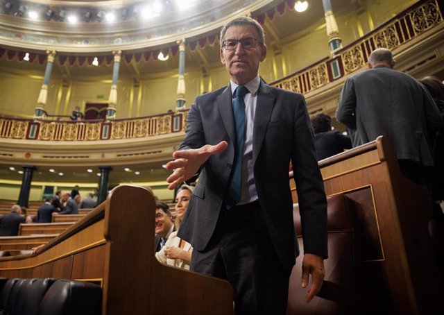 El presidente del PP, Alberto Núñez Feijóo, de pie desde su escaño en el Congreso