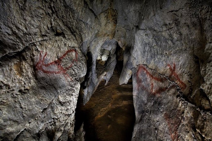 Archivo - CIERVAS EN LA CUEVA DE COVALANAS EN RAMALES DE LA VICTORIA