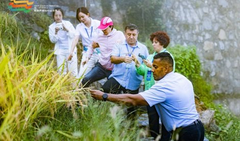 Comunicados Internacional