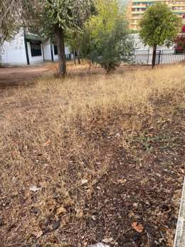 Patio de colegio en la ciudad.