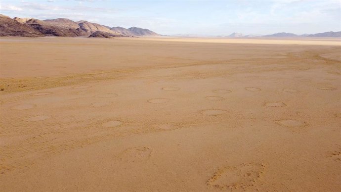 Círculos de hadas en una llanura de Namibia