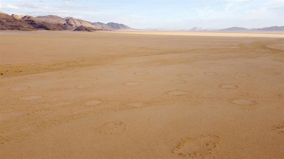 Círculos de hadas en una llanura de Namibia