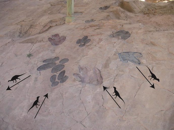 Rastros de dinosarios hallados en el yacimiento de Galve.