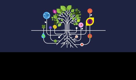 Comunicados Sociedad