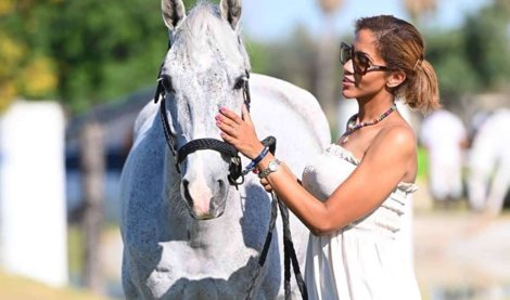 Comunicados Sociedad