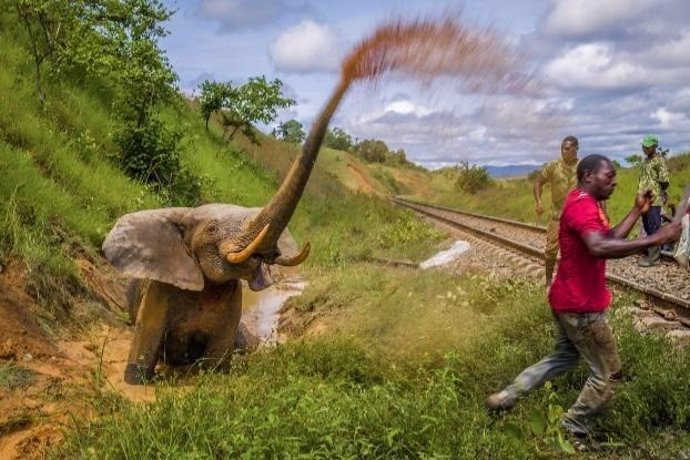 'Luchar Hasta La Muerte' (2021), Parte De La Colección Fotográfica 'Humanidad Contra Naturaleza'