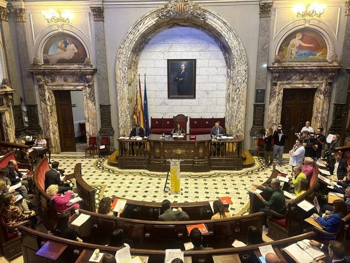 Ple de l'Ajuntament de Valncia