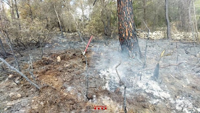 Los Bombers de la Generalitat repasan puntos calientes de materia orgánica en el incendio forestal ya controlado iniciado este viernes en Vespella de Gai (Tarragona)