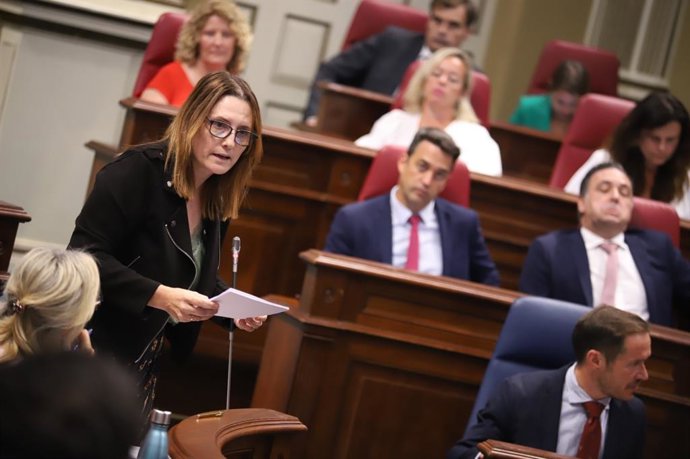 La consejera de Bienestar Social, Igualdad, Juventud, Infancia y Familias del Gobierno de Canarias, Candelaria Delgado