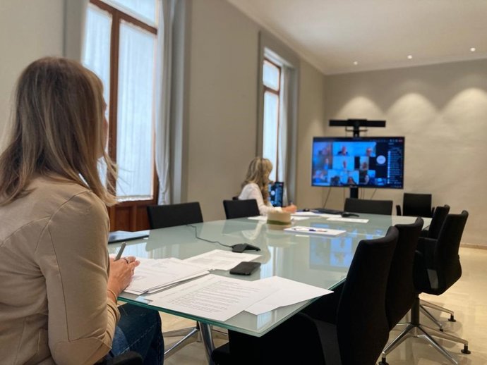 El consejo de administración de la Sociedad Valenciana de las ITV SA (Sitval)