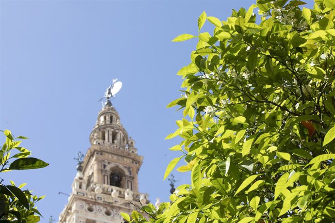 Archivo - Sevilla (Andalucía, España)