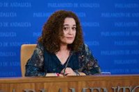 Nieto (IU) defiende que "la legislatura es muy larga" y "todos los miembros" de Sumar podrán intervenir en el Congreso