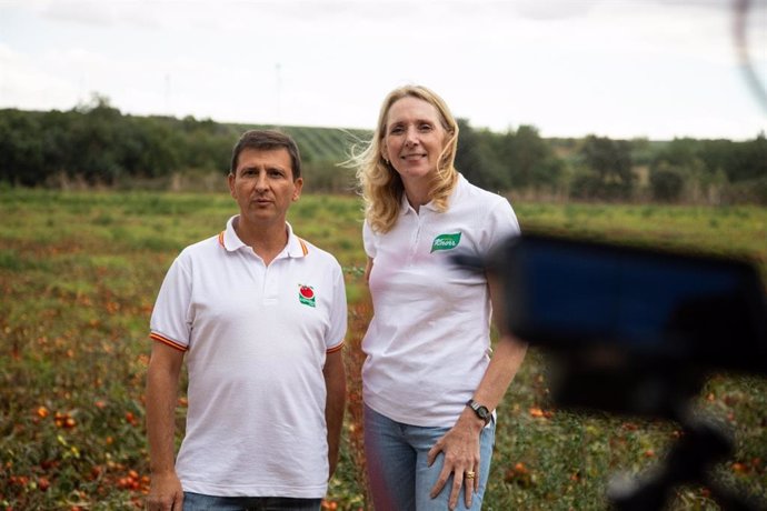 Cultivo de tomates sostenibles en Extremadura