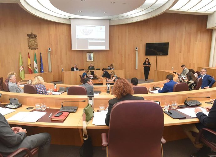 Pleno de la Diputación de Granada
