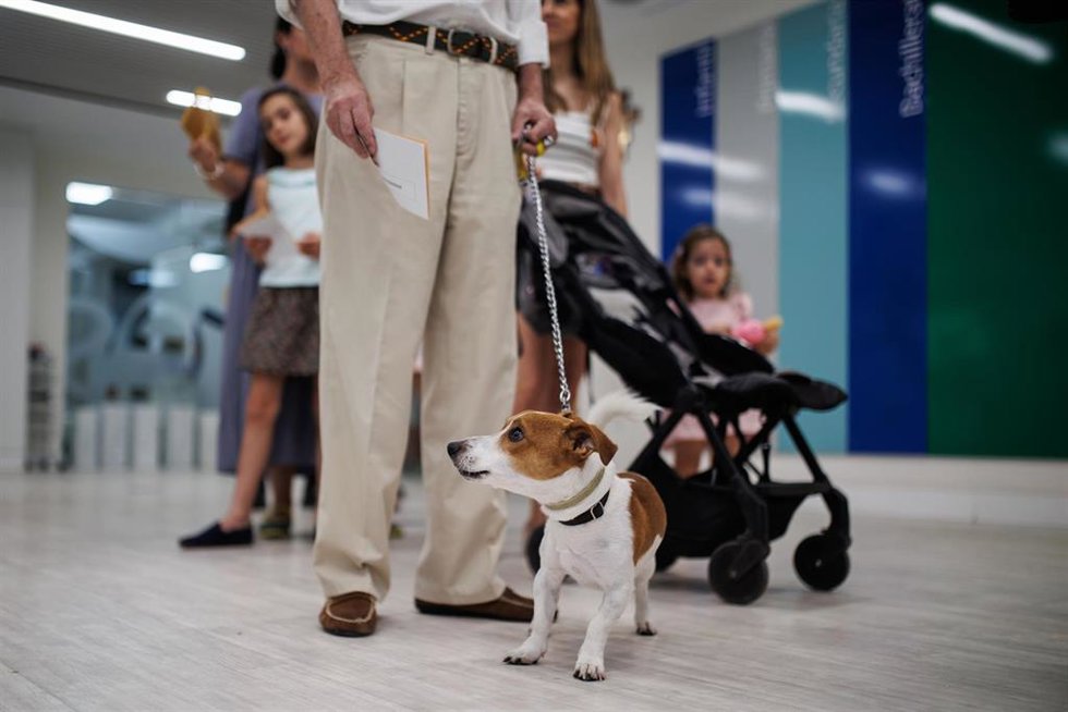 Archivo - Una persona hace cola para ejercer su derecho a voto junto a su perro, en el Colegio La Inmaculada Marillac, a 23 de julio de 2023, en Madrid (España). Los españoles están llamados hoy, 23 de julio de 2023, para elegir a sus representantes par