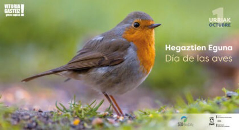 El Día de las Aves se celebra el 1 de octubre