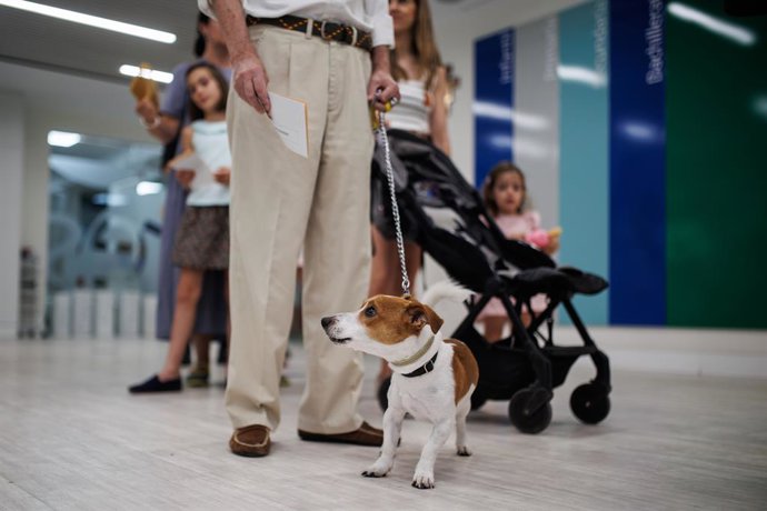 Archivo - Una persona hace cola para ejercer su derecho a voto junto a su perro, en el Colegio La Inmaculada Marillac, a 23 de julio de 2023, en Madrid (España). Los españoles están llamados hoy, 23 de julio de 2023, para elegir a sus representantes par