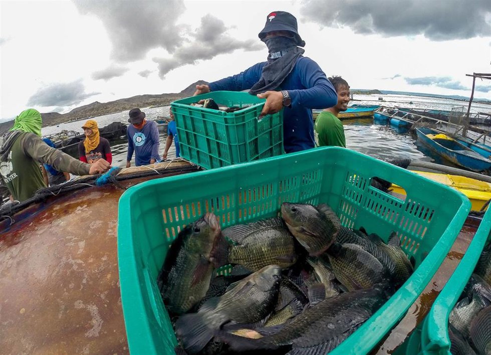 Archivo - Imagen de archivo de pescadores filipinos. 