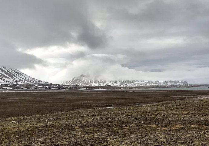 Tundra cerca del pueblo de Ny-lesund en el verano de 2019 con el Observatorio Zeppelin al fondo (lado izquierdo, envuelto en nubes). La tundra es potencialmente una fuente importante de bioaerosoles en el Ártico