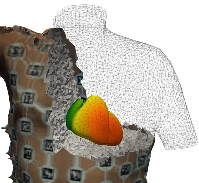 Herramienta para generar gemelos digitales cardiacos