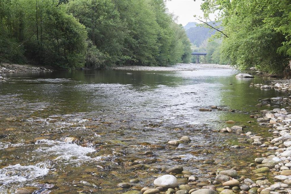 Archivo - Uno de los tramos del río Pas, en Corvera de Toranzo, Cantabria (España).