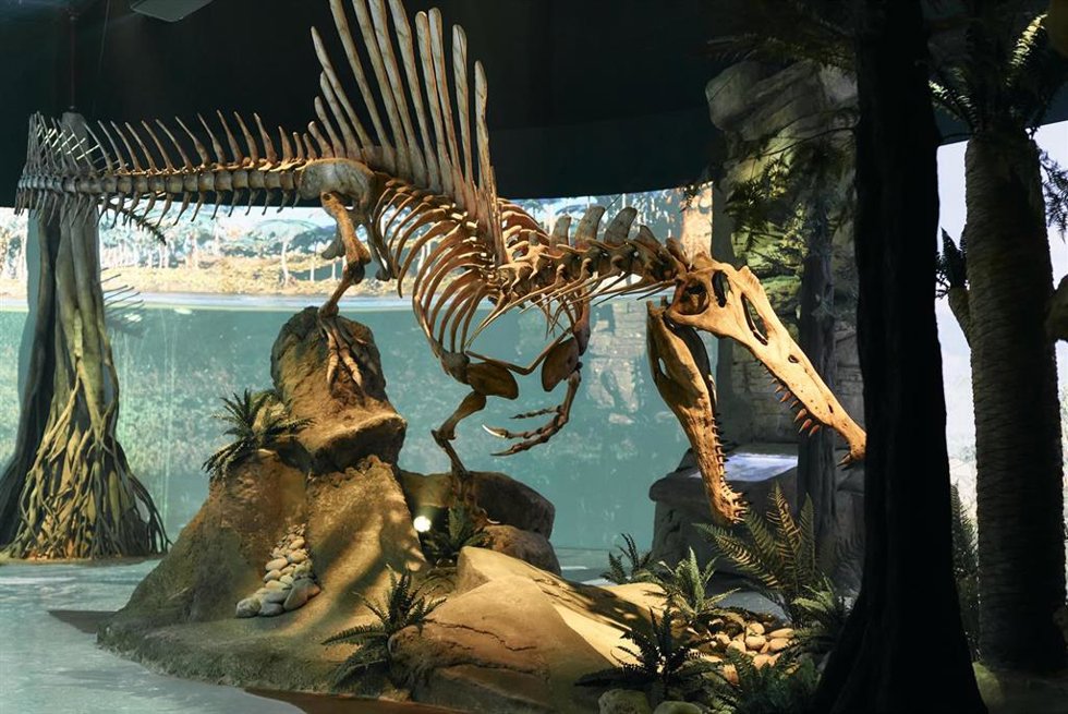 Archivo - Spinosaurus, nuevo recorrido temático de Mar Jurásico.