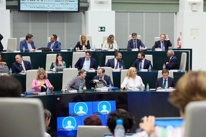 El alcalde de Madrid, José Luis Martínez-Almeida (en primera fila, 1d) junto al resto de la bancada popular durante el Pleno del Ayuntamiento de Madrid, en el Palacio de Cibeles 