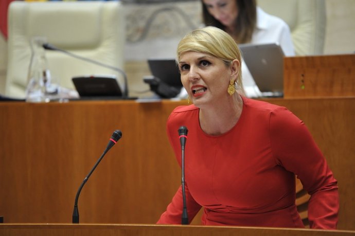 La consejera de Hacienda y Administración Pública, Elena Manzano, en la Asamblea durante la convalidación del decreto-ley de medidas fiscales de la Junta