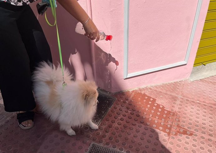 La Policía Local de Mijas levanta más de 400 actas por no recoger los excrementos y diluir la orina de las mascotas en la vía pública