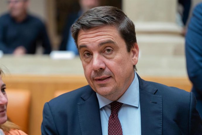 Archivo - El diputado del PP, Alberto Galiana