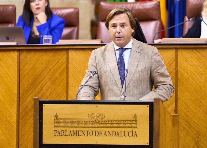El secretario general del PP-A y diputado, Antonio Repullo, este jueves en el Pleno del Parlamento