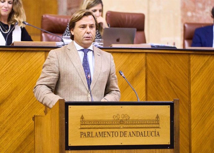 El secretario general del PP-A y diputado, Antonio Repullo, este jueves en el Pleno del Parlamento