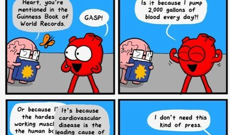 Comunicados Internacional