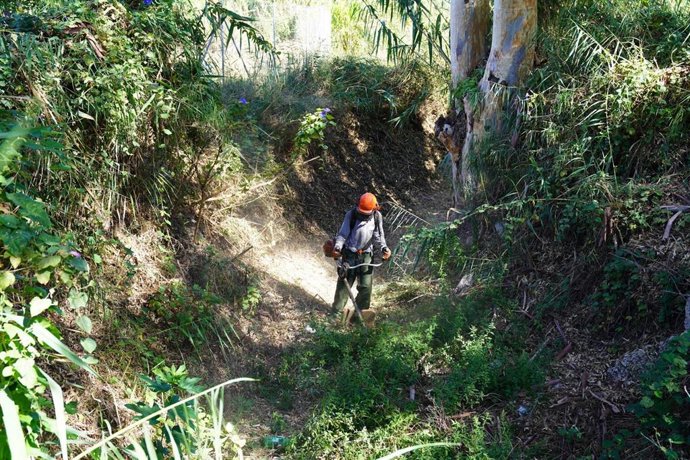 Estepona comienza la campaña de desbroce para prevenir inundaciones en cauces de una veintena de ríos y arroyos