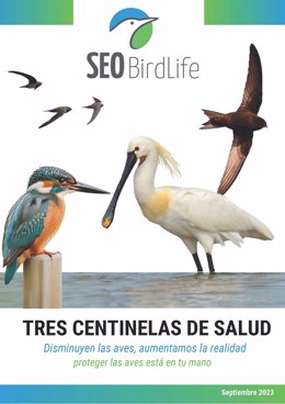 Seo/BirdLife y el Museo Nacional del Prado se unen para celebrar el Día de las Aves y alertar del declive que sufren y las consecuencias para el mundo del arte.