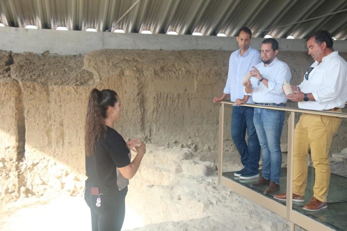 Visita de la Diputación de Granada a la Villa Romana de Salar