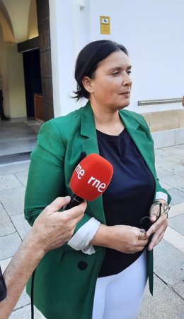 La diputada del PSOE Marisol Mateos en declaraciones a los medios en la Asamblea
