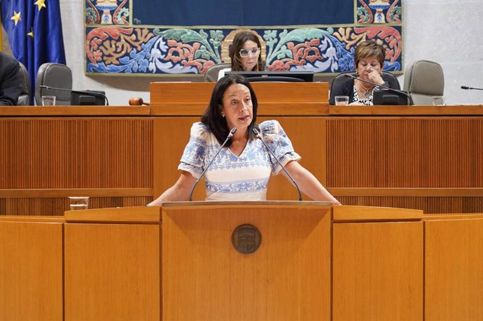 La consejera de Bienestar Social y Familia del Gobierno de Aragón, Carmen Susín.