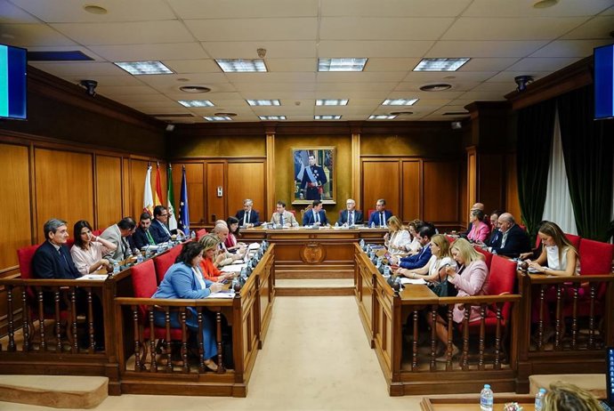 Pleno de la Diputación de Almería.