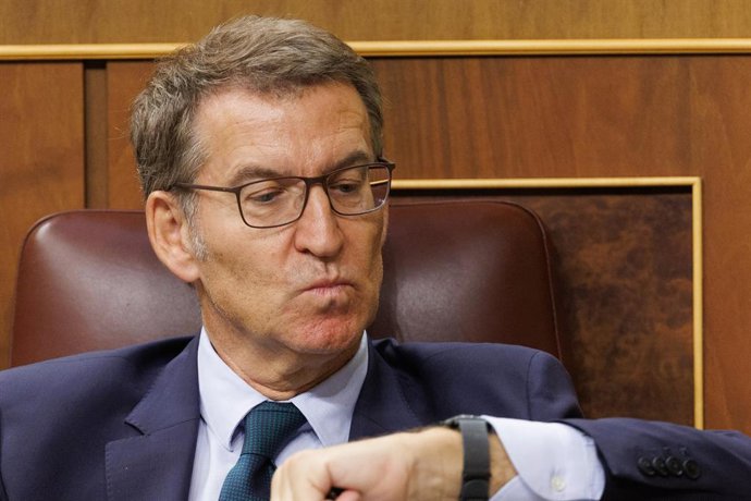 El líder del PP y candidato a la Presidencia del Gobierno, Alberto Núñez Feijóo.