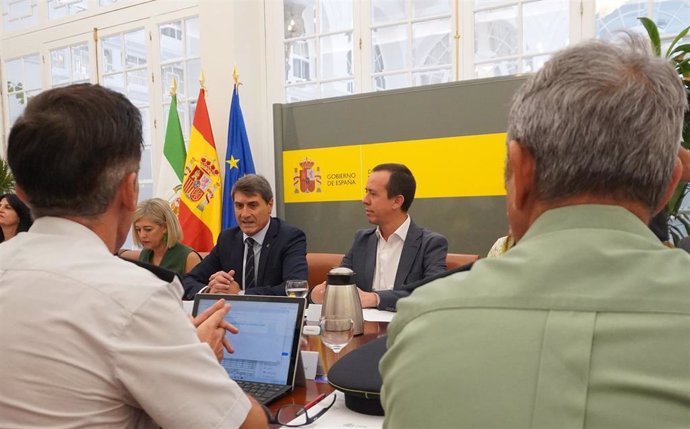 El delegado del Gobierno de España en Andalucía, Pedro Fernández, durante la reunión de la Comisión Regional del Plan Director.