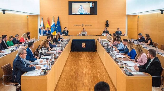 El Cabildo de Tenerife ha acordado una serie de medidas para instar al Gobierno de España a que garantice el suministro eléctrico en la isla, acuerdo que ha sido aprobado de manera institucional por todos los grupos de la Corporación insular
