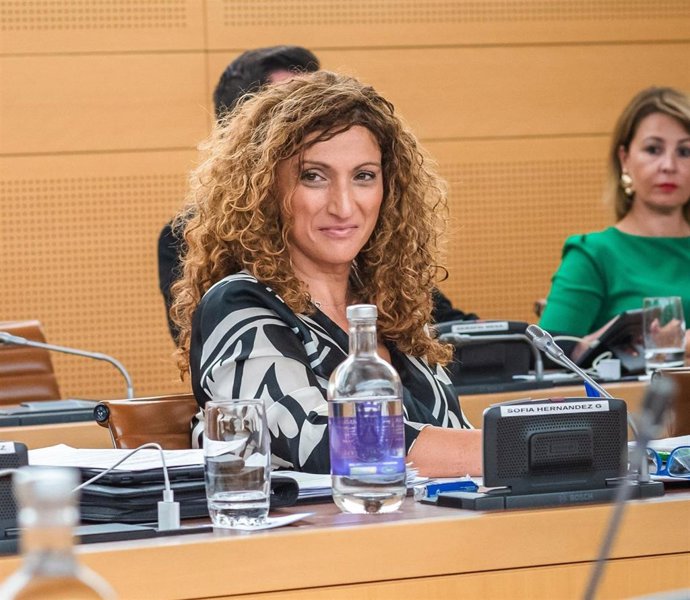 La consejera de Cooperación Municipal y Vivienda del Cabildo de Tenerife, Sonia Hernández
