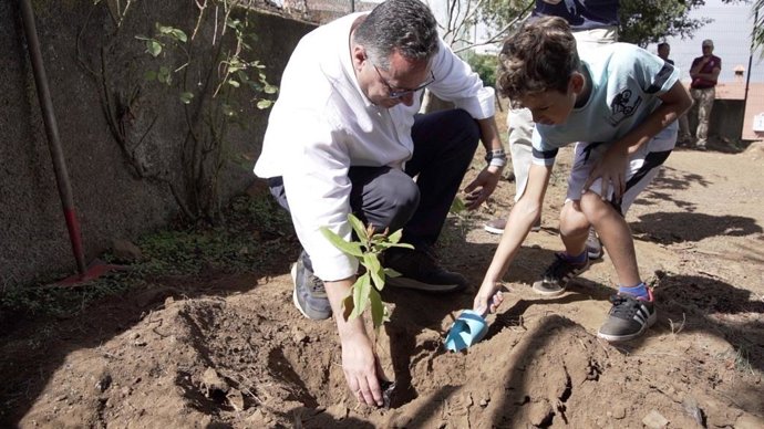 El consejero de Educación, Formación Profesional, Actividad Física y Deportes, Poli Suárez, ayuda a plantar un árbol junto a un alumno del CEIP de Aguamansa