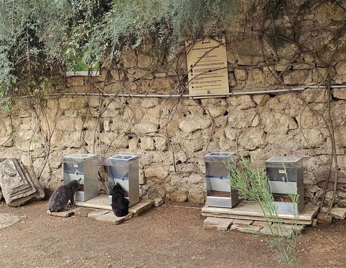 Comederos para gatos instalados en el Alcazar de los Reyes Cristianos de Córdoba, donde se ubica una de las colonias felinas protegidas y gestionadas por Fapac en el marco del programa CER.