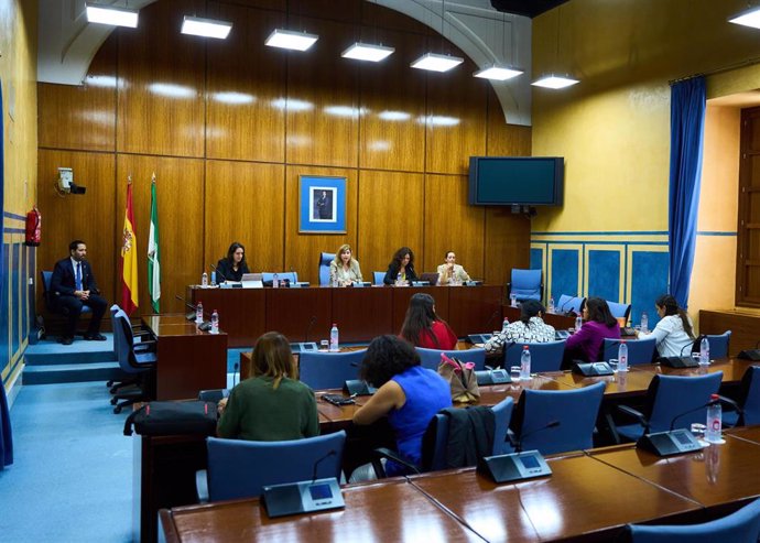 Sesión constitutiva del grupo de trabajo sobre protección de menores frente a la pornografía en Internet en el Parlamento andaluz.