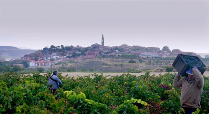 El documental 'Rioja, la tierra de los mil vinos' se estrenará en la LXVIII Semana Internacional de Cine de Valladolid