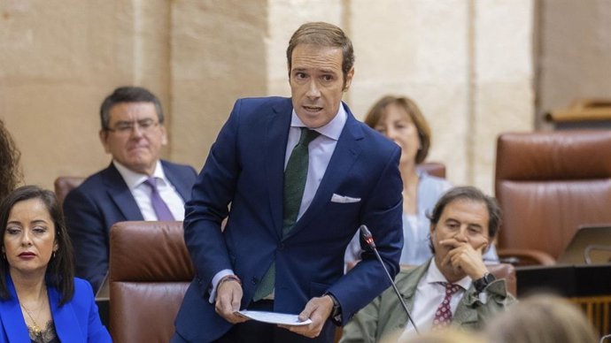 El diputado del Grupo Parlamentario VOX en el Parlamento de Andalucía, Javier Cortés, durante su intervención.