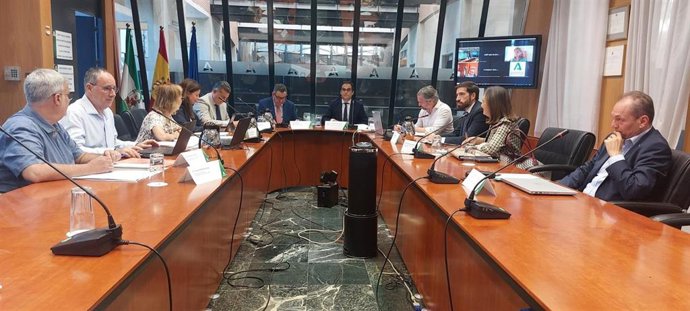 Comisión Red Formativa IAAP.